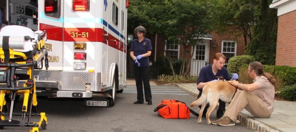 Man seated on a curb with his guide dog next to an ambulance